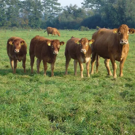 Peerenboomshof Kranenburg (North Rhine-Westphalia)